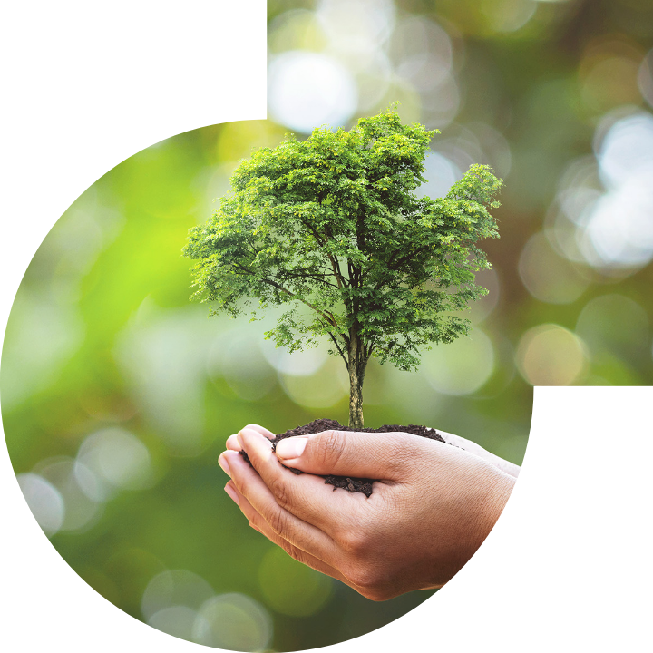 关怀人类、文化、环境与社会